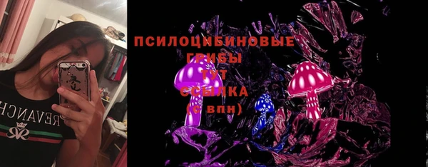 дмт Новозыбков