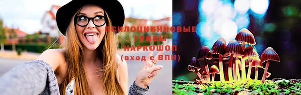 дмт Новозыбков