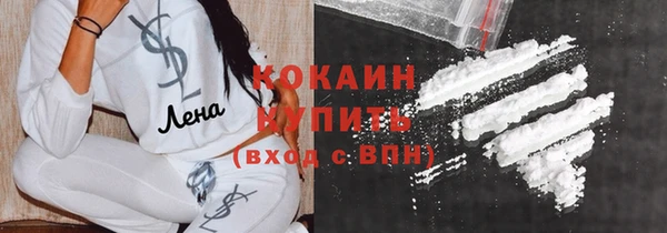 дмт Новозыбков