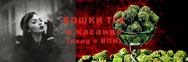 крисы Новокубанск