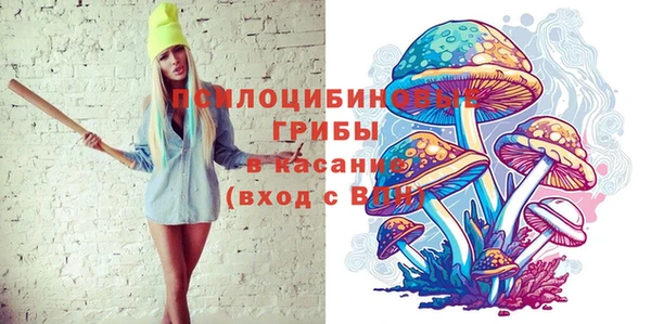 MDMA Новодвинск