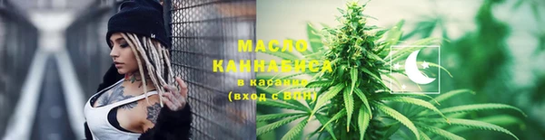 дмт Новозыбков