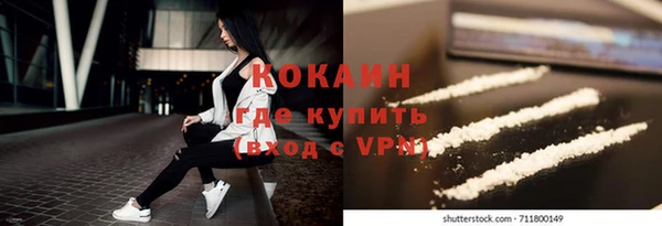 дмт Новозыбков