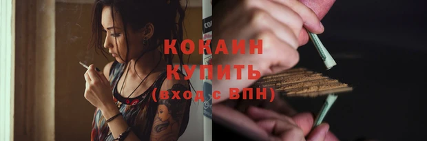 крисы Новокубанск