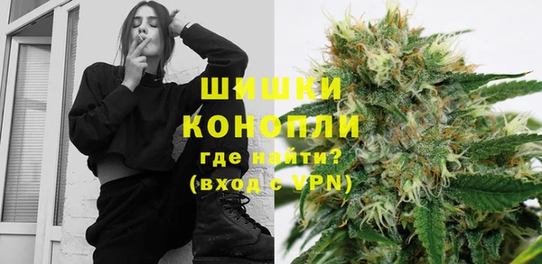 крисы Новокубанск