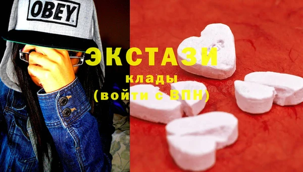 дмт Новозыбков