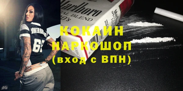 крисы Новокубанск